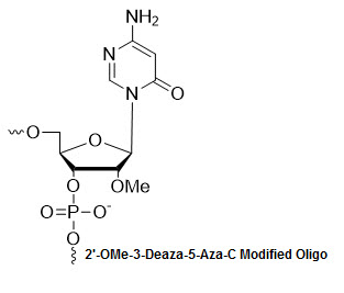 Bio-Synthesis Inc. Oligo Structure